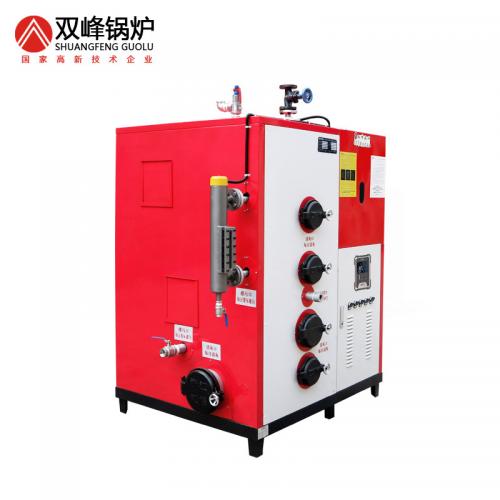 生物質蒸汽發生器350公斤